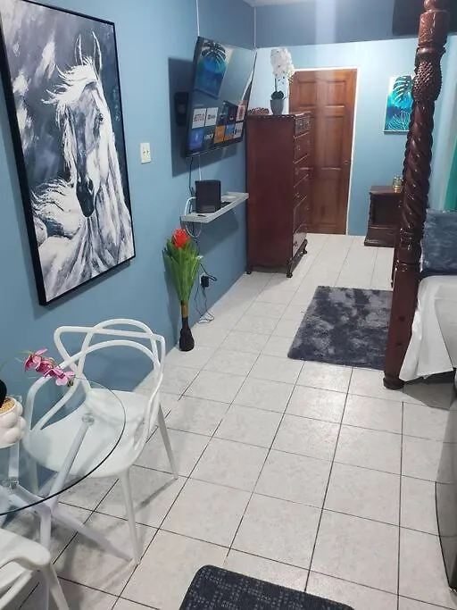 Apartament New Kingston Central Location Gated