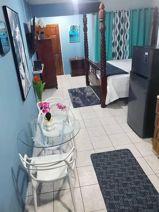 New Kingston Central Location Gated Apartament