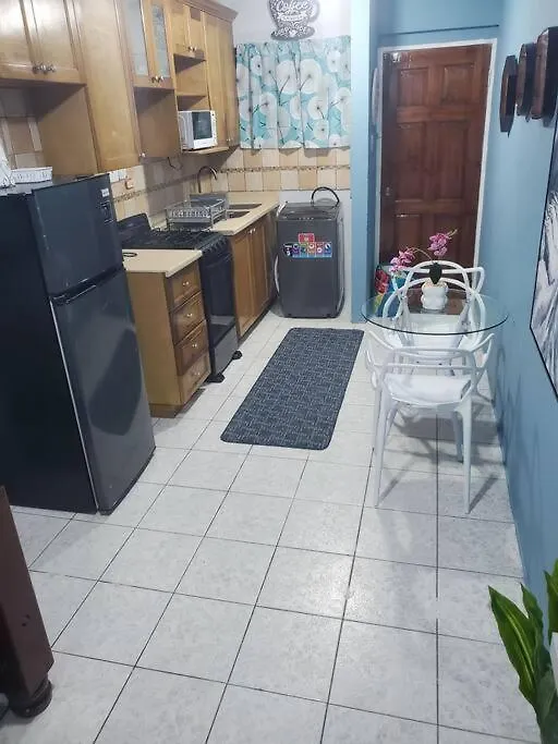 Apartament New Kingston Central Location Gated